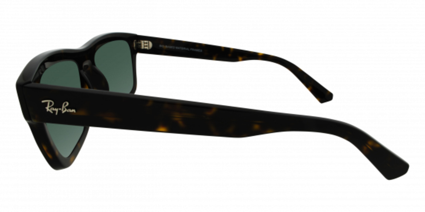 Ray-Ban 4396 21