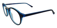 ARICO 11