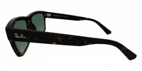 Ray-Ban 4396 21