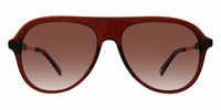 THE ICON 01