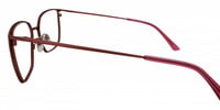 DIANA 21