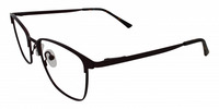 FORTUNATA 11