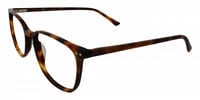 ALESSANO 11