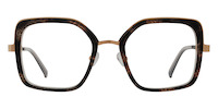 LIESA 01