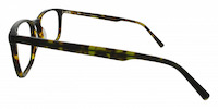 RODOLFO 21