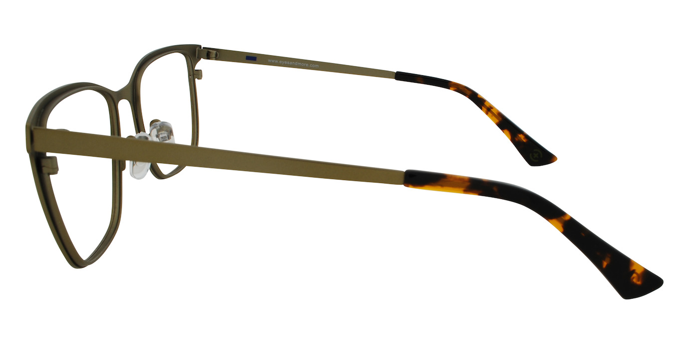 SANTA CRUZ 21
