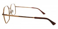 ROBIN 21
