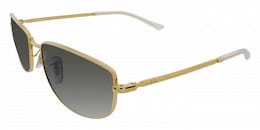 Ray-Ban 3732