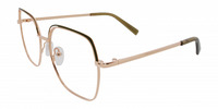 GOLDA2 11