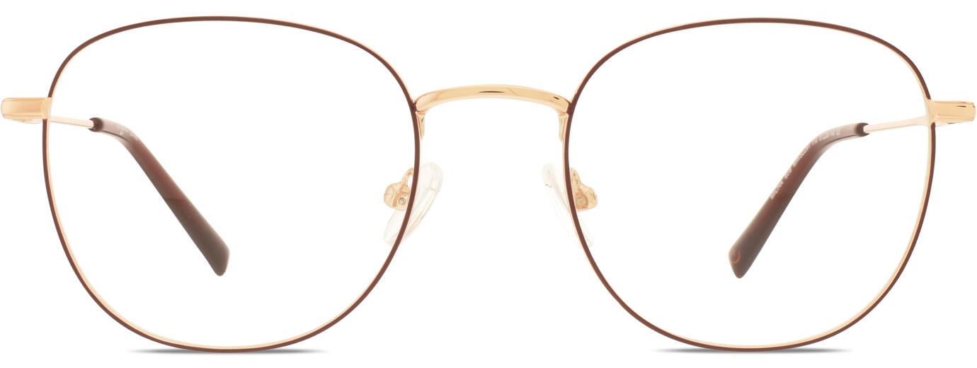 MICHA 11